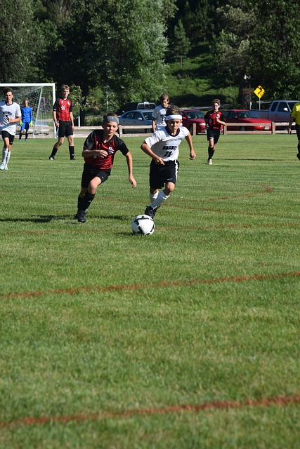 的宝贵资产 的宝贵资产