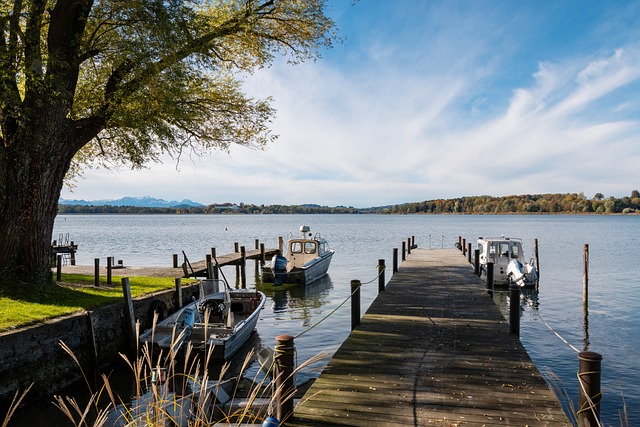 感谢斯图尔 感谢斯图尔
