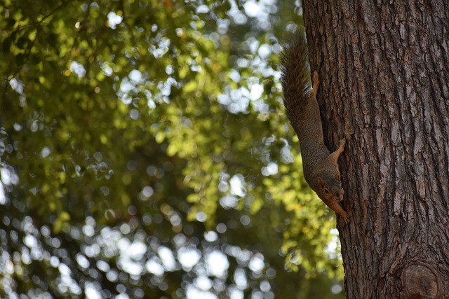 中超第2輪滄州雄獅0-0河南嵩山龍門 趙宇豪王上源先後傷退.
