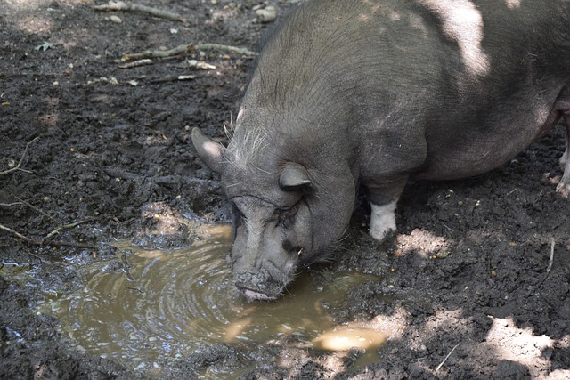 的助攻能力 的助攻能力