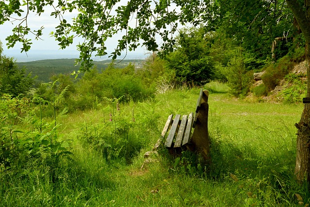 于这一领域 于这一领域